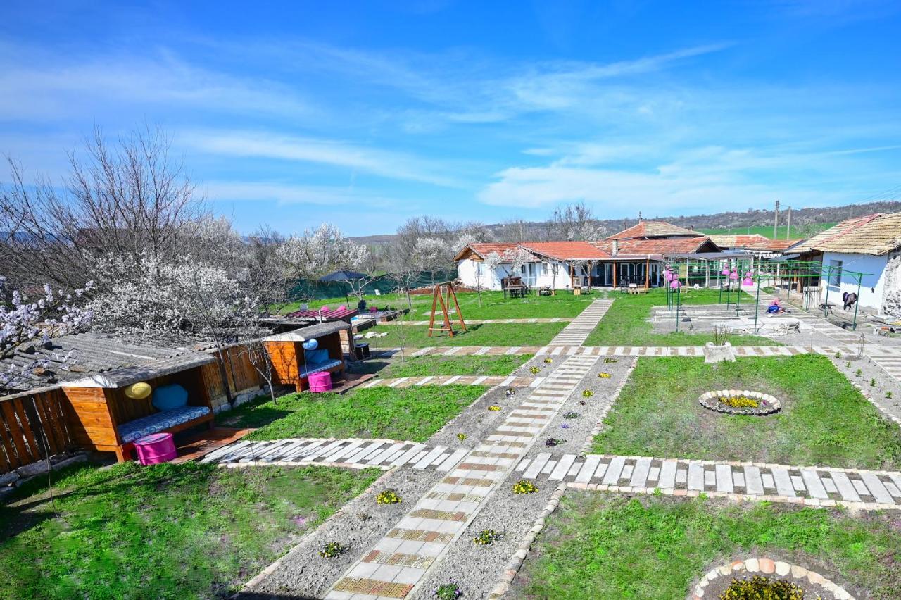 Guest House Bulgarka Dibich Buitenkant foto